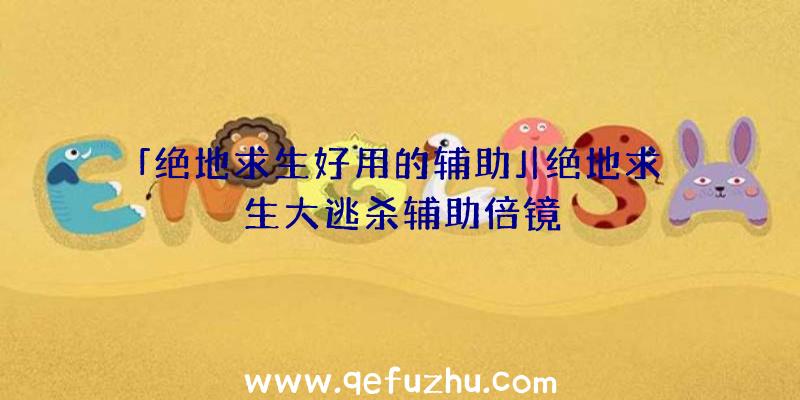 「绝地求生好用的辅助」|绝地求生大逃杀辅助倍镜